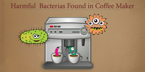bacteria in coffee maker