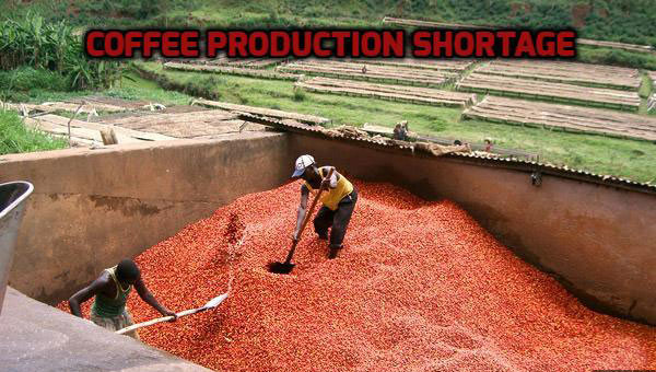 Coffee Production Shortage