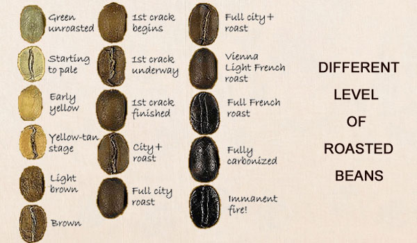 different roasts of coffee beans